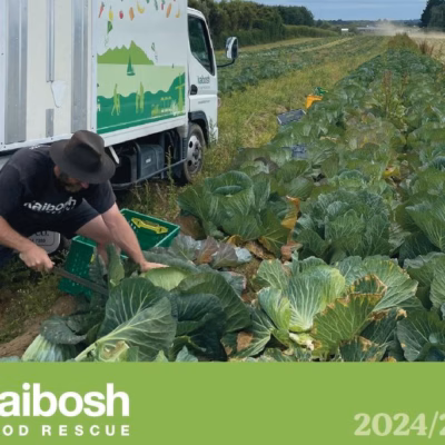 Man wearing Kaibosh tee shirt harvests cabbages in field crouched down in front of a truck that has illustration on it of Kapiti island and vegetables.