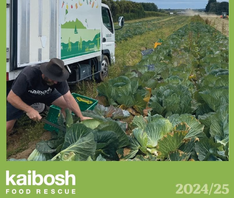 Man wearing Kaibosh tee shirt harvests cabbages in field crouched down in front of a truck that has illustration on it of Kapiti island and vegetables.